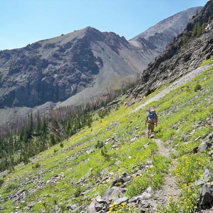 August 2012 - Near Copper Lakes Trail #635