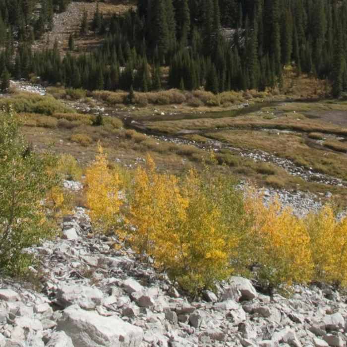 Near Alice + Twin Lakes Hike