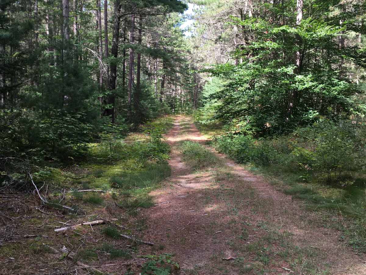 Wolski Road  trail photo