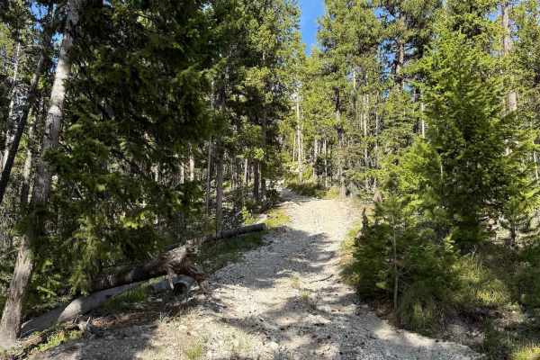 Patterson Trail