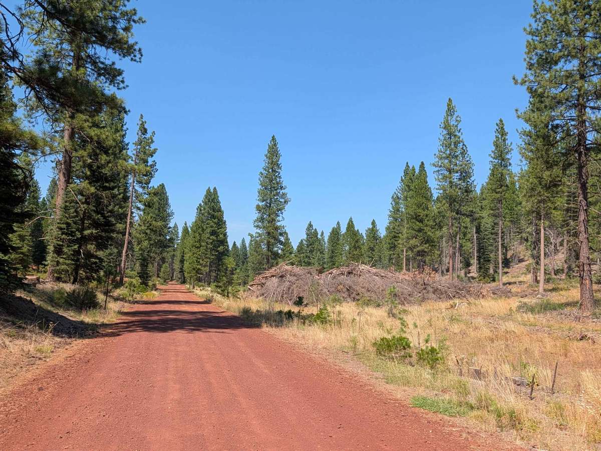 Long Grade - FS 40N03 trail photo