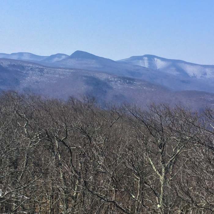 Near Mount Tremper Fire Tower Trail
