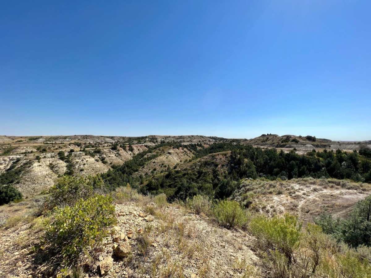 Little Missouri Grasslands photo 2