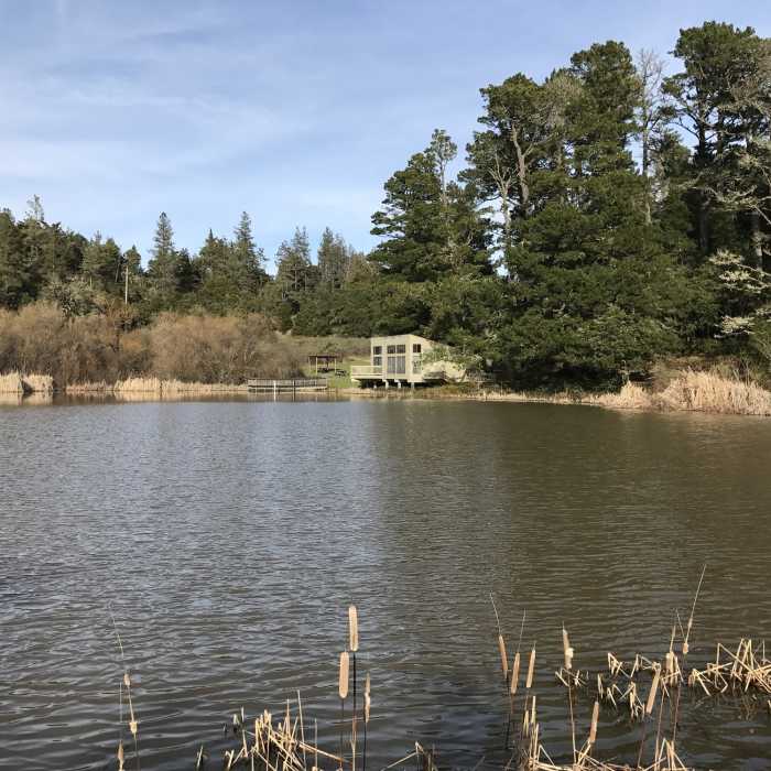 Near Old Page Mill Trail