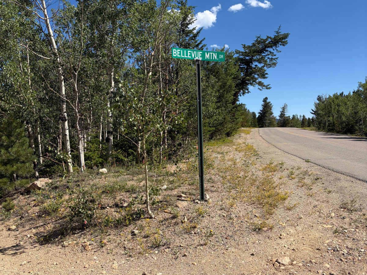 Bellevue Mountain Drive photo 3