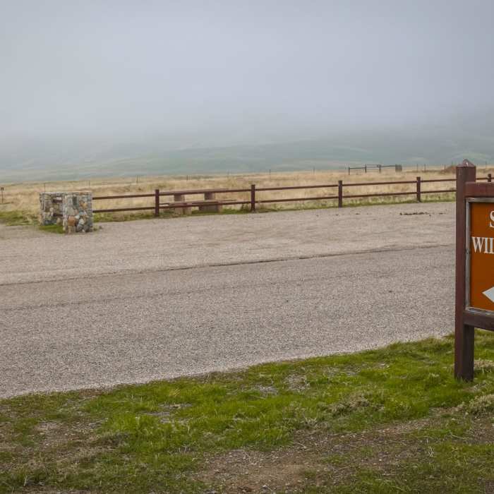 Near Wildflower Loop Trail