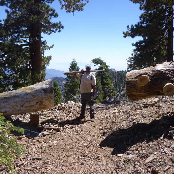 Cutting logs off trail in wilderness with crosscut saw Near Hawkins Ridge Loop