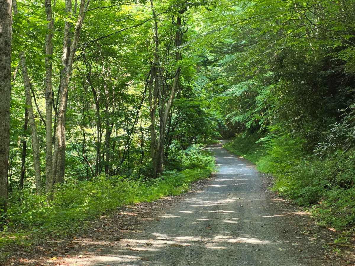 Middle Road photo 5