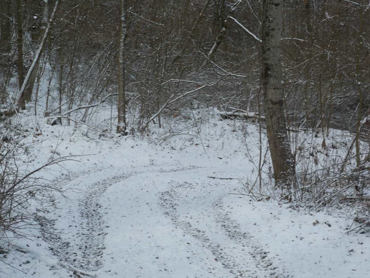 Trail 29 photo 2