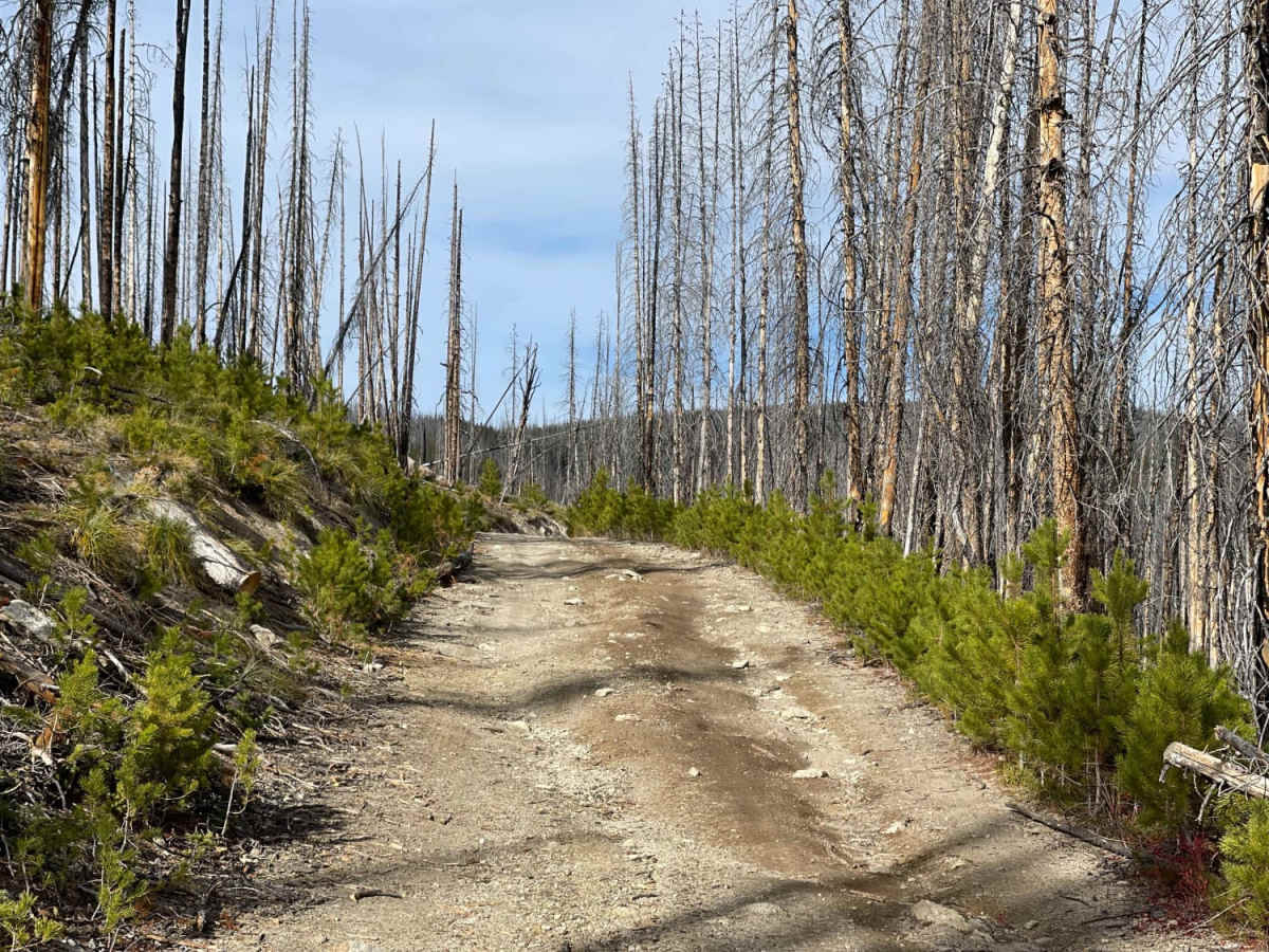 West End of Stateline Road photo 5