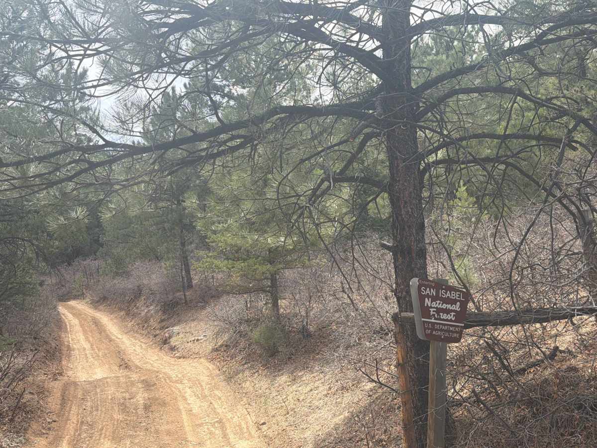 Fremont County 84 photo 4
