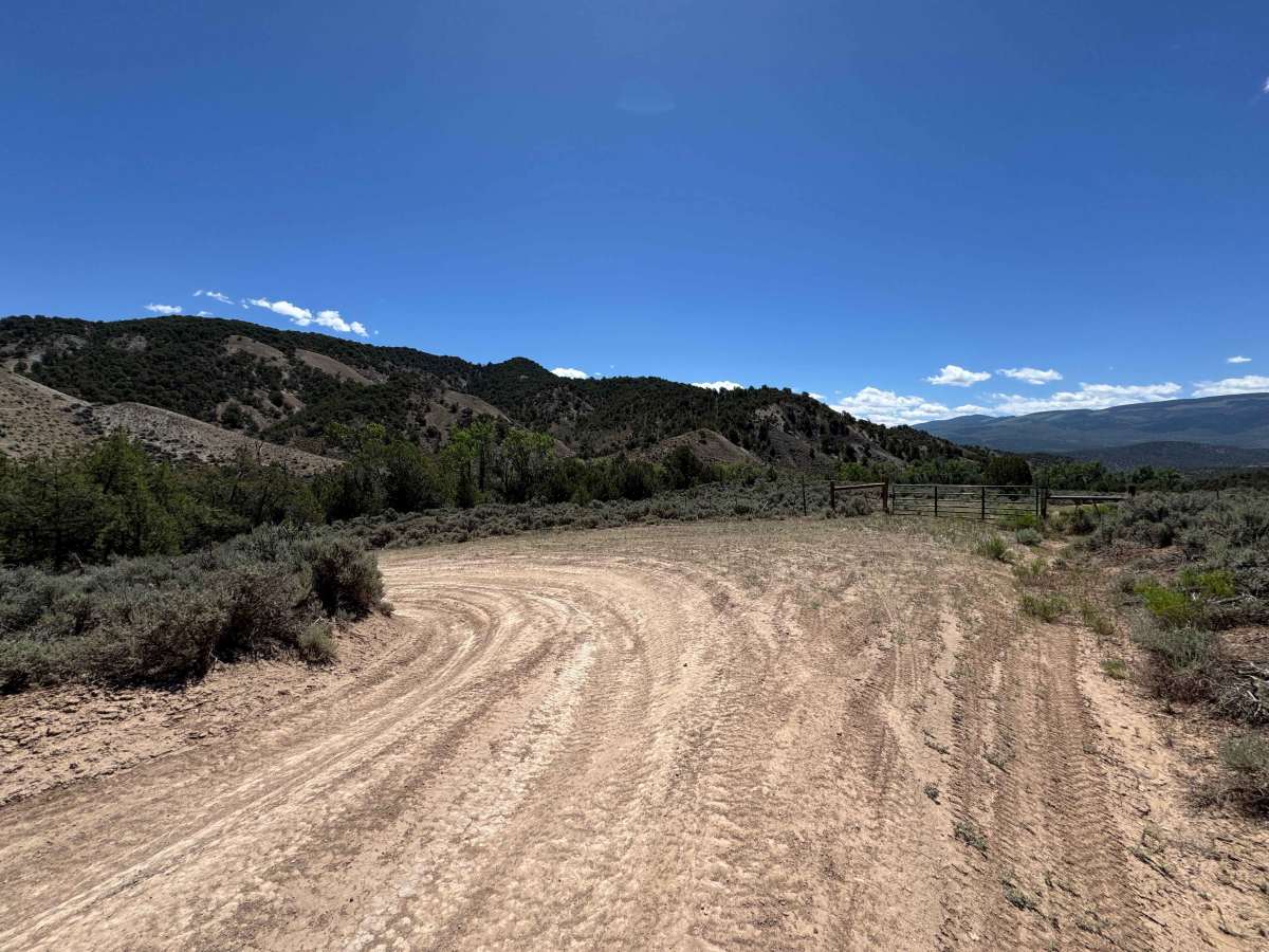 BLM 8480 photo 4