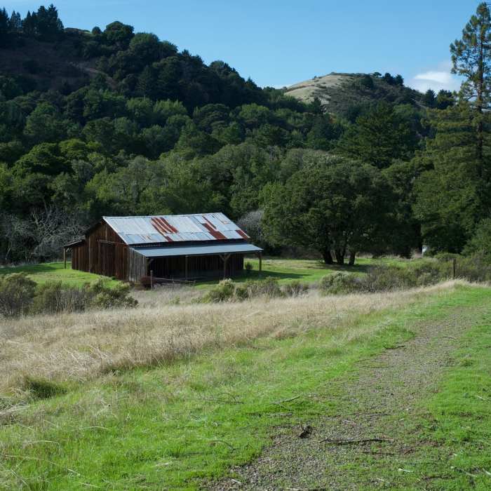 Near Coal Road Trail