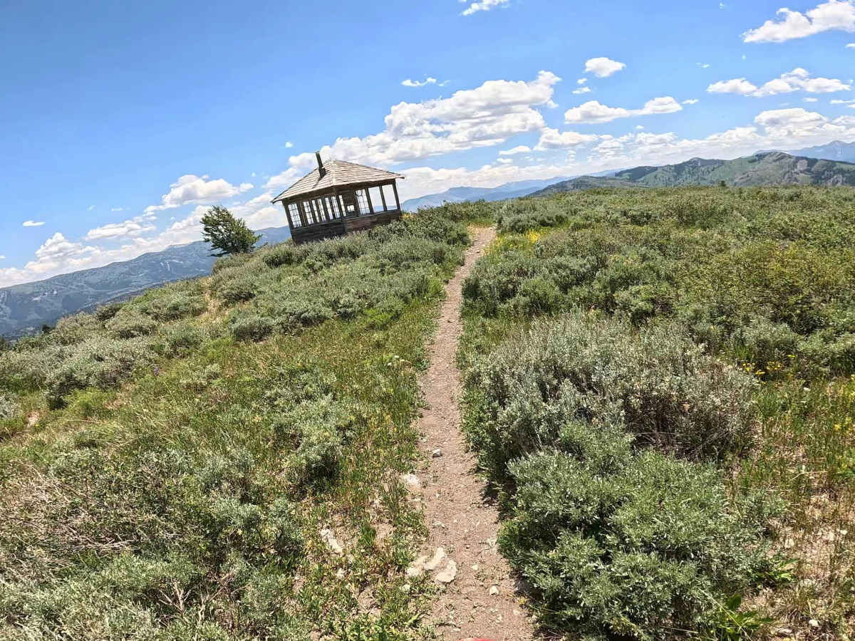 Elk Moutain Lookout trail photo