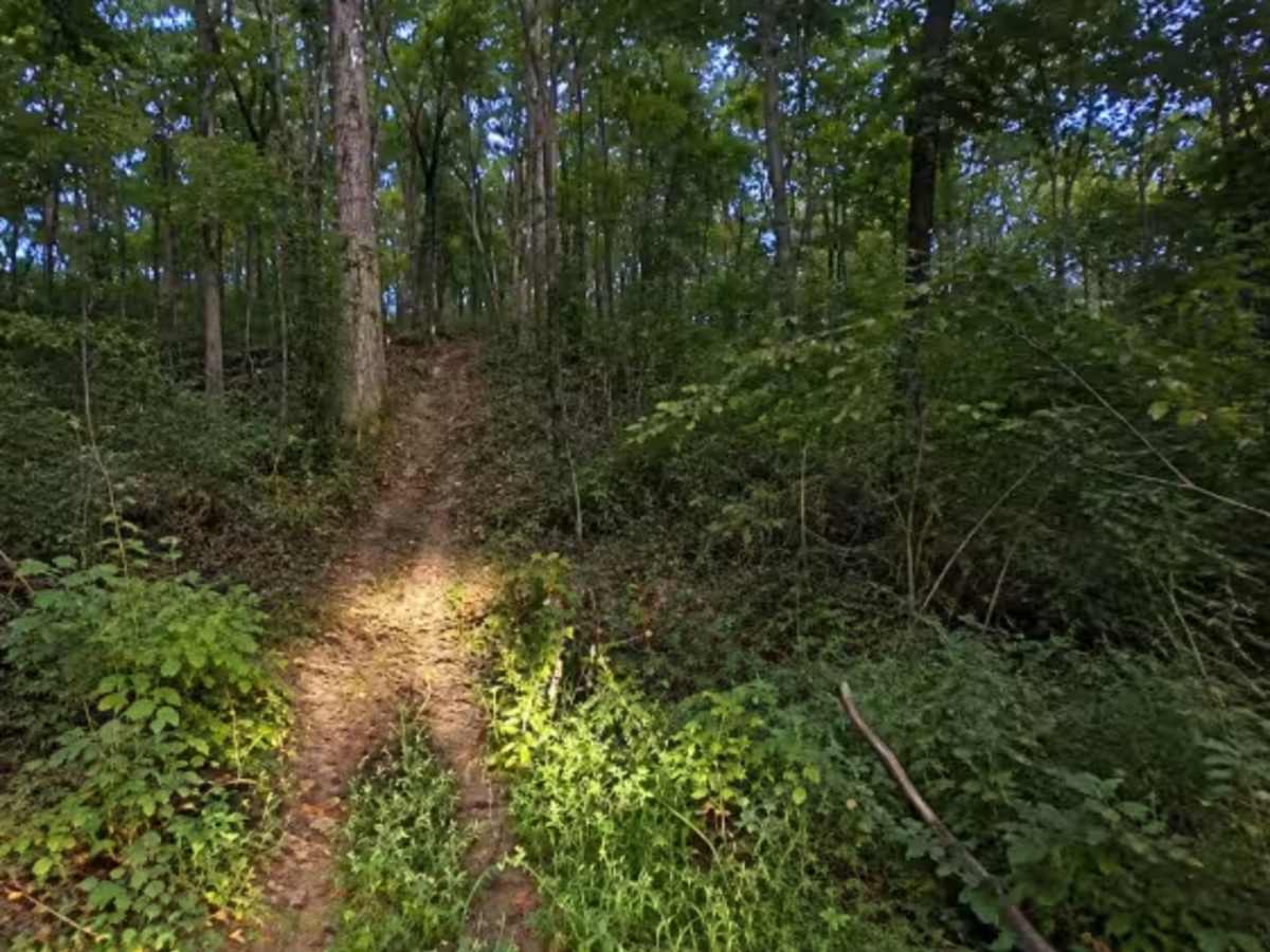 Splinter Hill Trail  photo 2