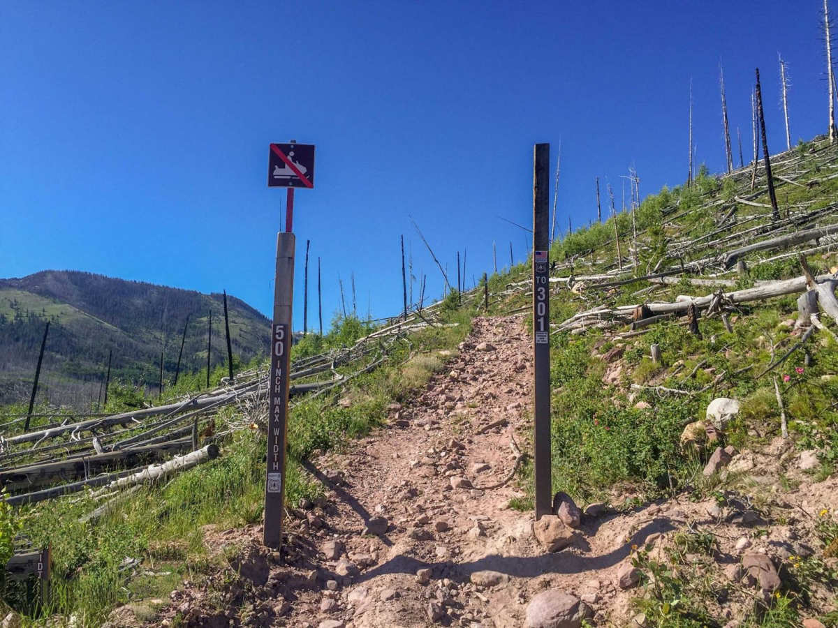 Lily Lake and Wolverine ATV Trail photo 5