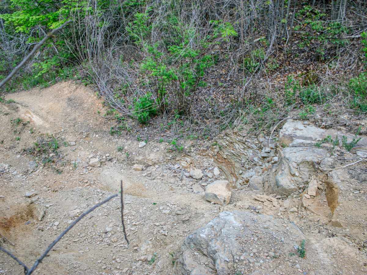 R59 photo 5