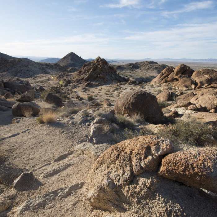 Near Fortynine Palms Oasis Trail