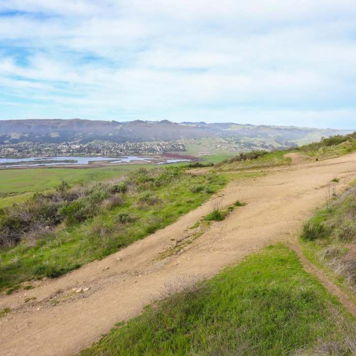 Near Cerro San Luis Peak
