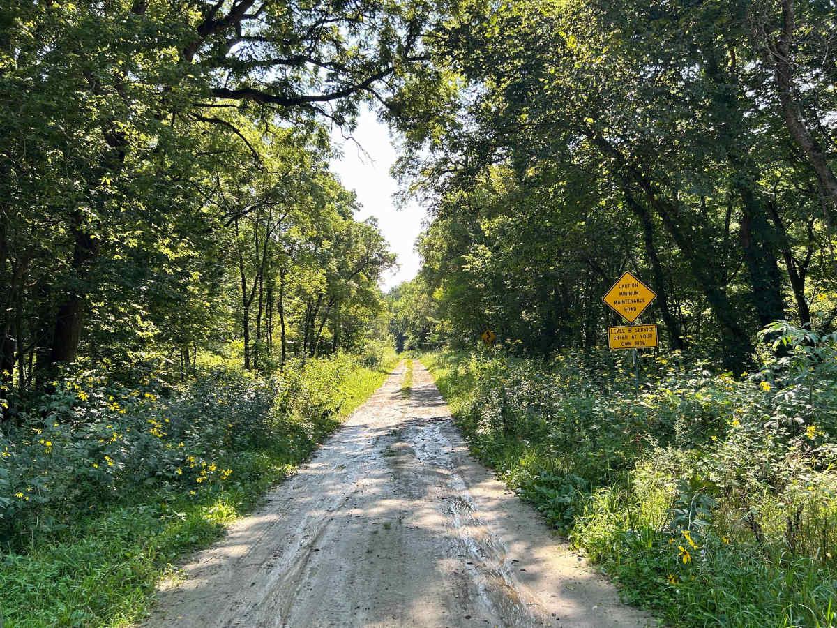 Dolphin Avenue trail photo