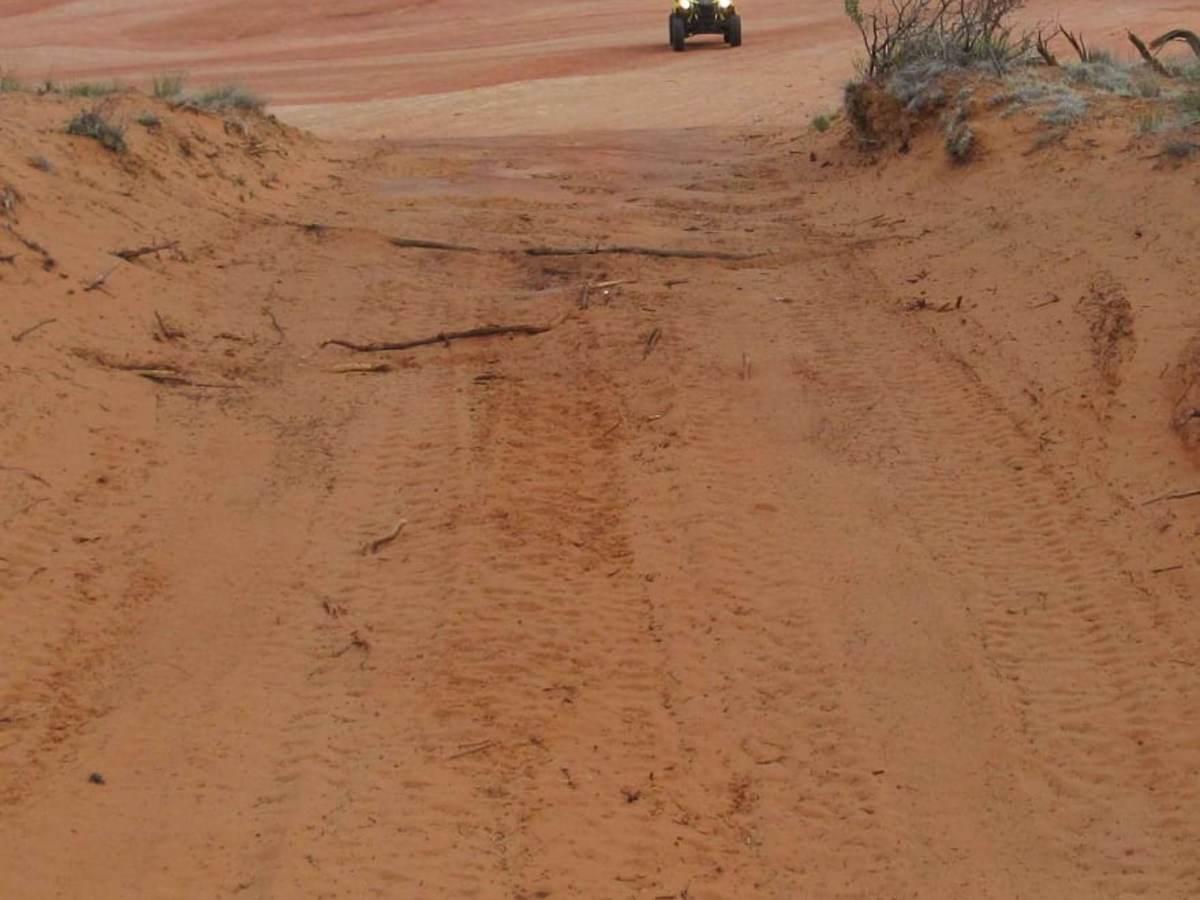 Dinosaur Tracks Loop trail photo