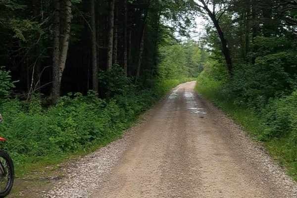 Dump Road