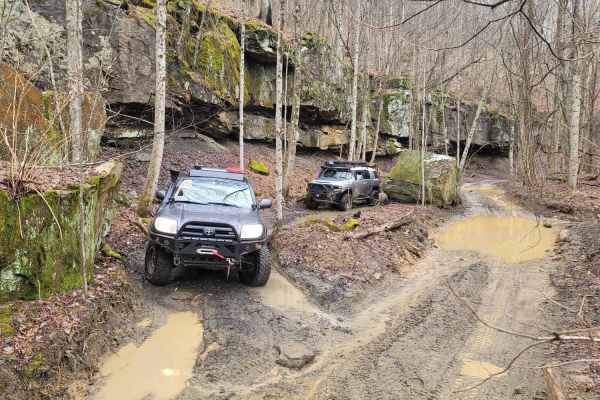 83 - American Knob Bypass