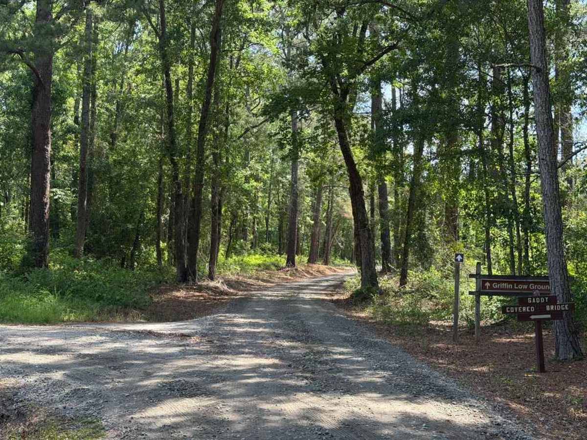 Griffin Road photo 6