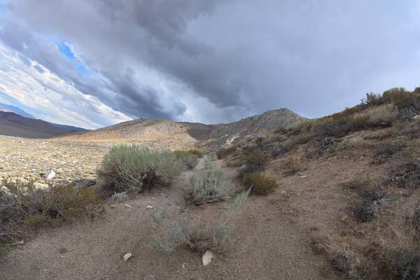 Elderberry Drainage Road