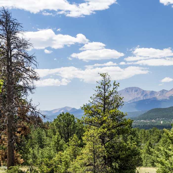 Near Red Rocks Trail Hike
