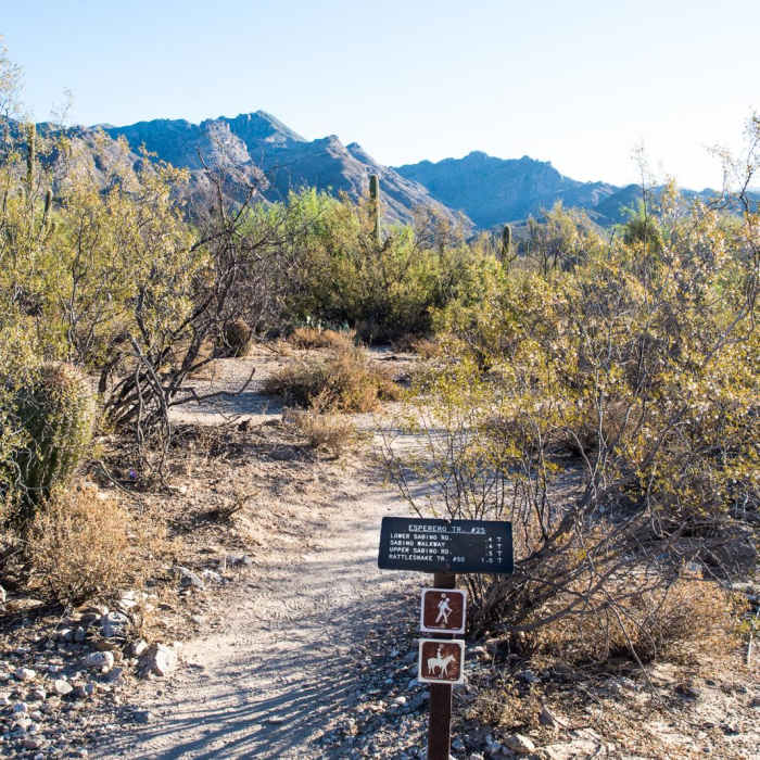 Near Bear Canyon to Seven Falls Trail
