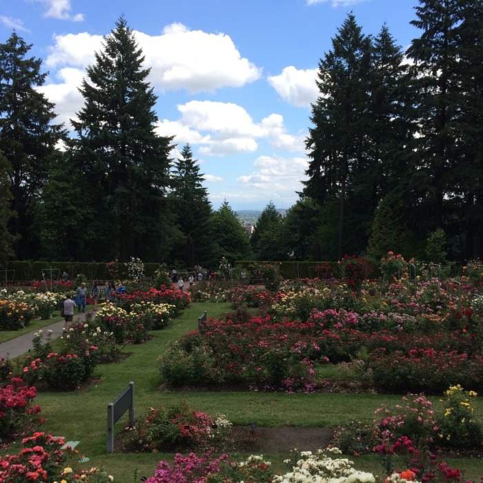 Near Japanese Garden Trail