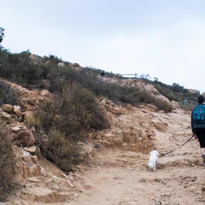 Near Cowles Mountain, Golfcrest Drive Trailhead