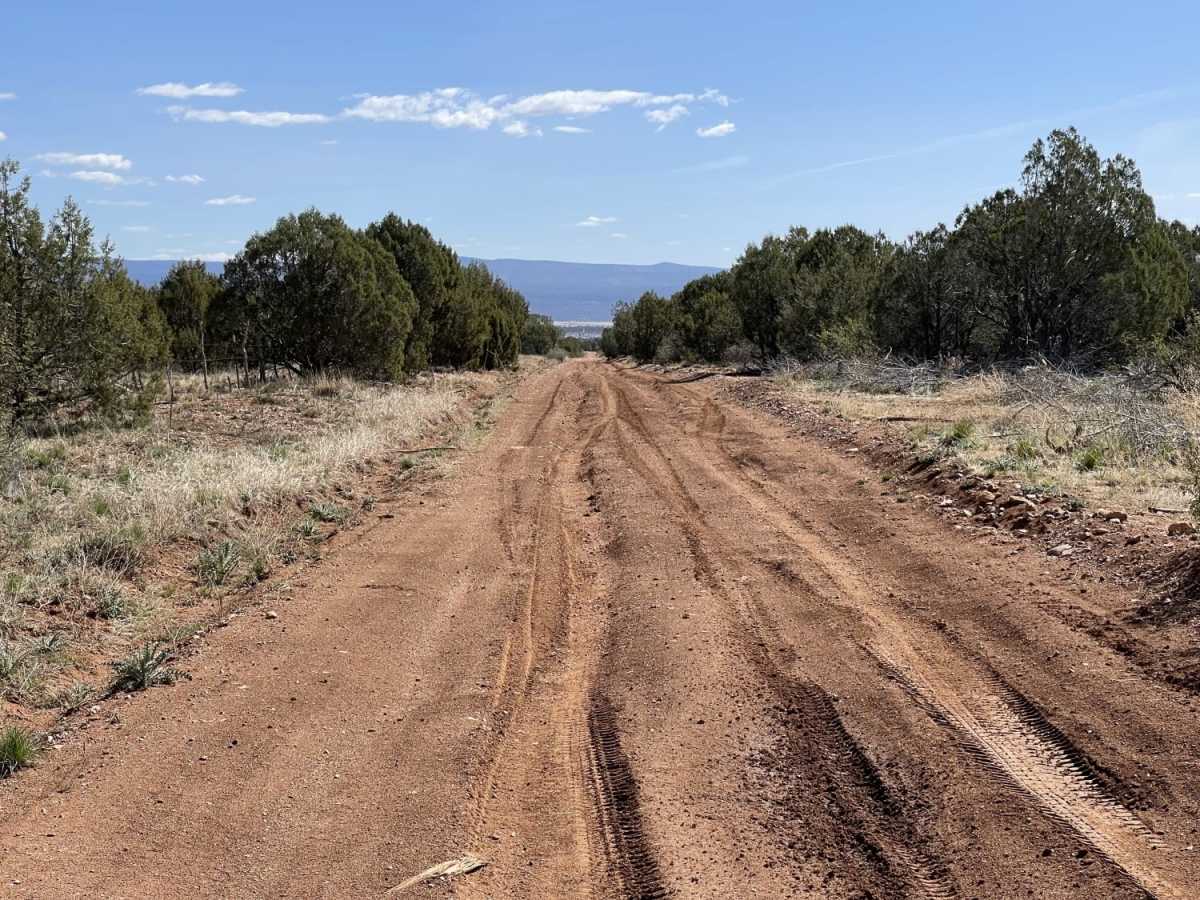 Bullock Trail photo 2