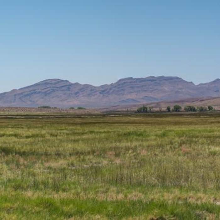 Near Dove Dike Trail Near Dove Dike Trail