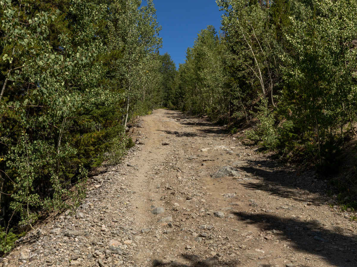 Williams Peak Road photo 5