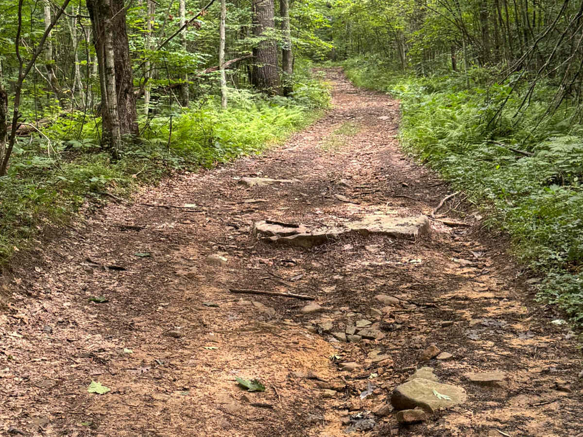 Trail 18  photo 3