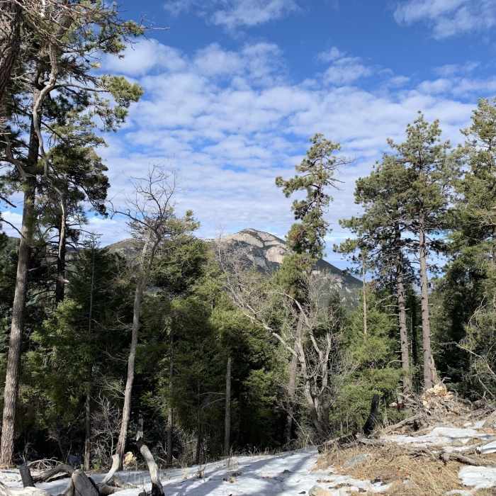 View of Ramsey Peak from Bear Saddle Near Hamburg Trail