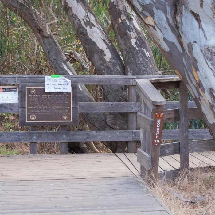 Near Monarch Trail Hike