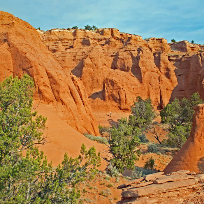 Near Panorama Trail - Main Loop