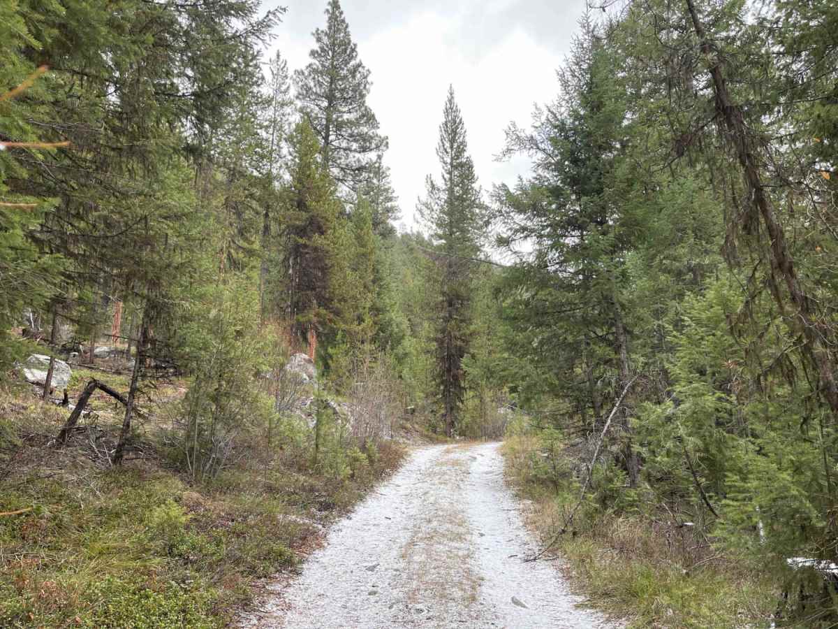Trapper Trailhead Side Trail trail photo