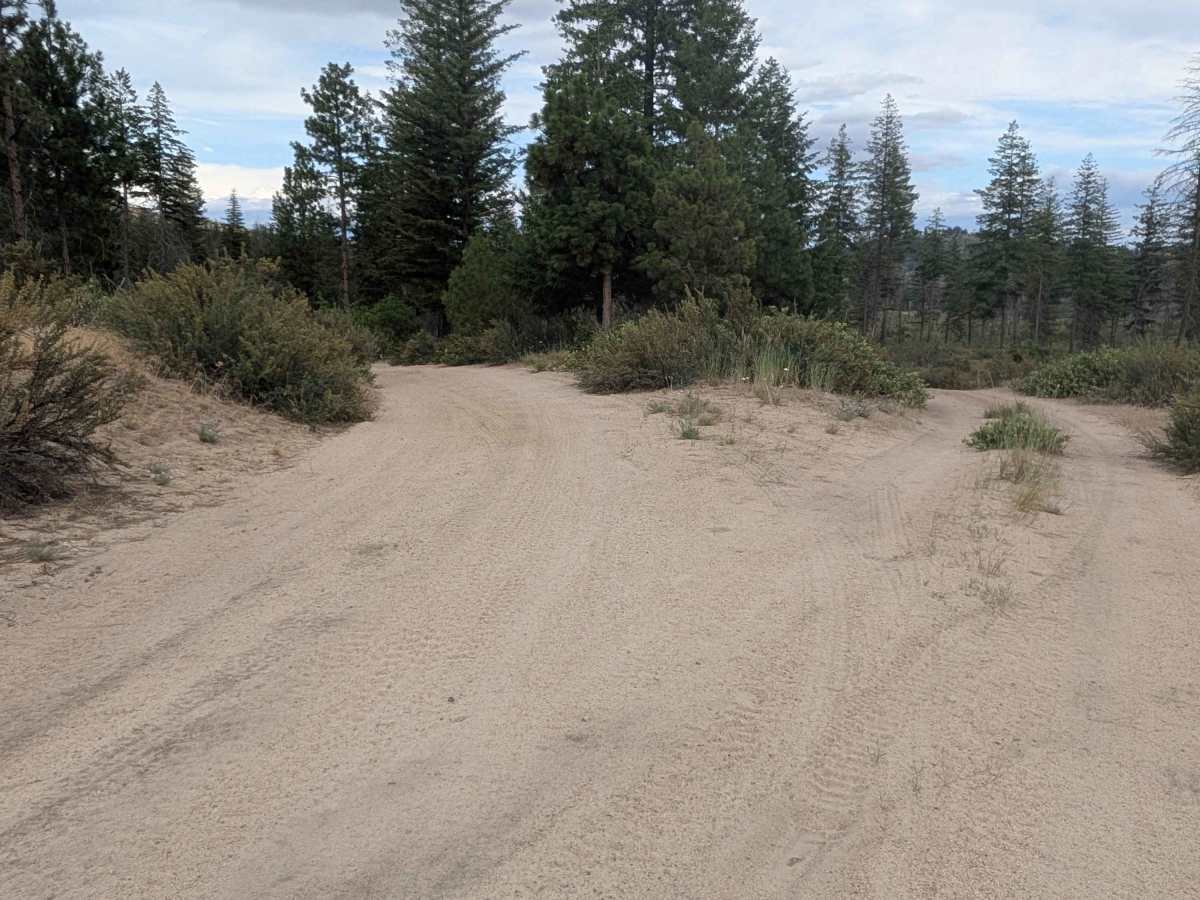 South Cook Mountain photo 2