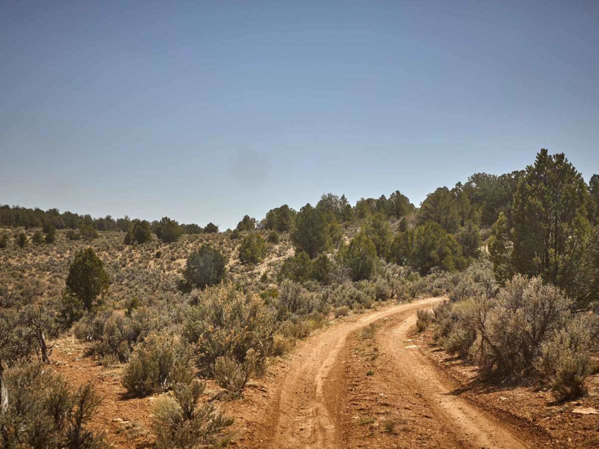 Old 2500 Road trail photo