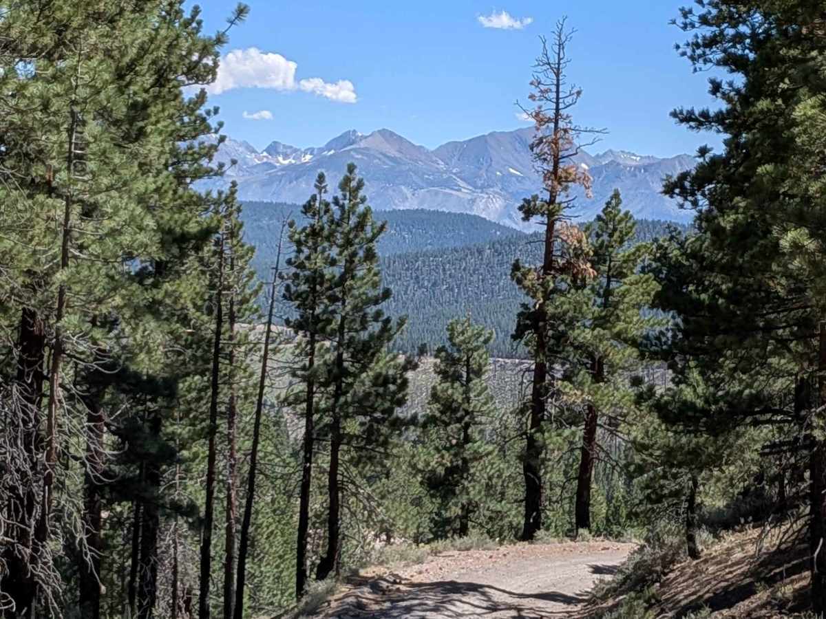 Big Springs Road FS 32E601 trail photo