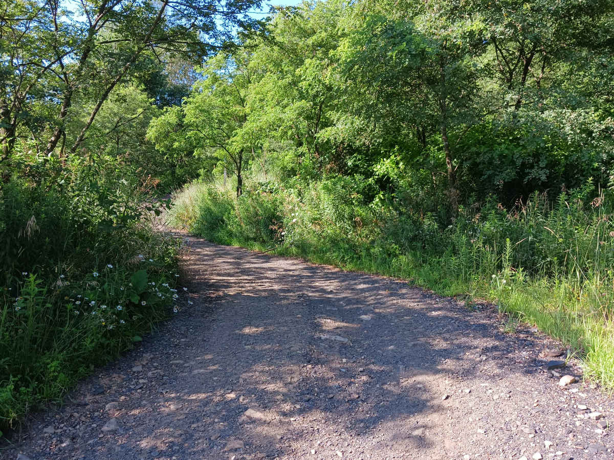 Trail 12X - Rock Run Recreation Area photo 5