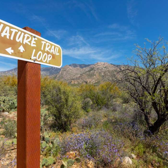 Near Catalina Nature Trail Near Catalina Nature Trail