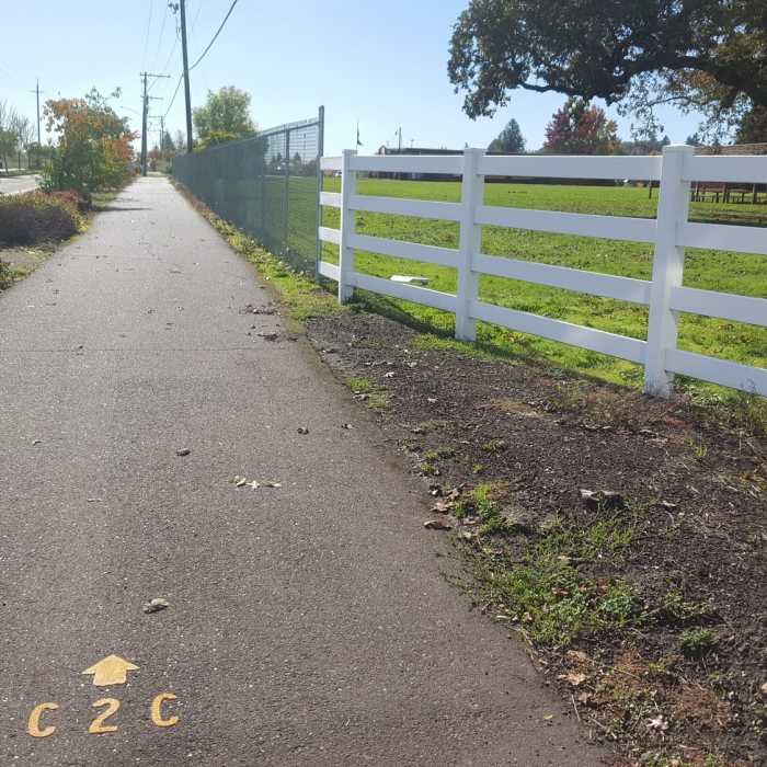 Near C2C Trail: Phase 1
