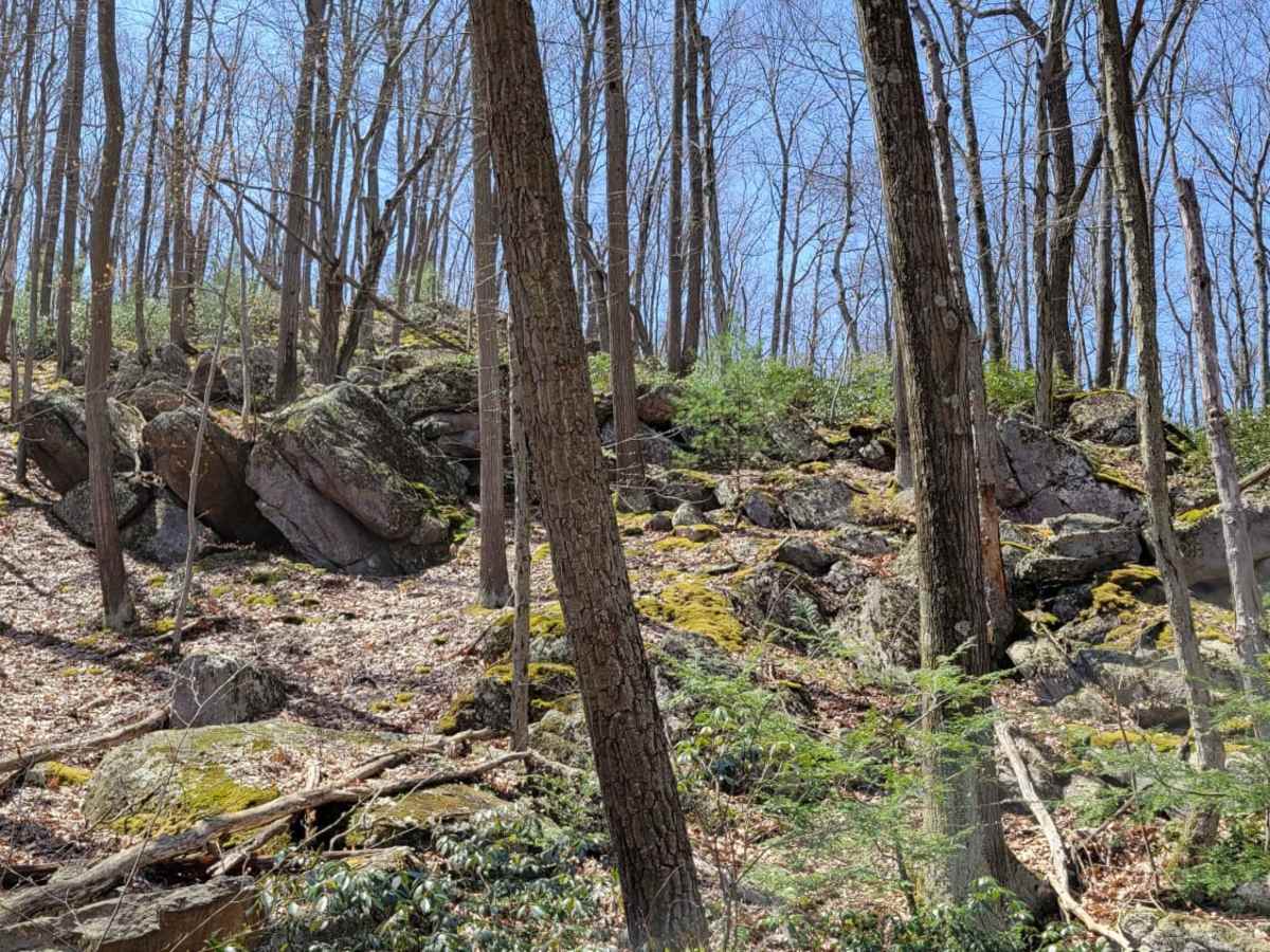 Odonnel Field Trail photo 2