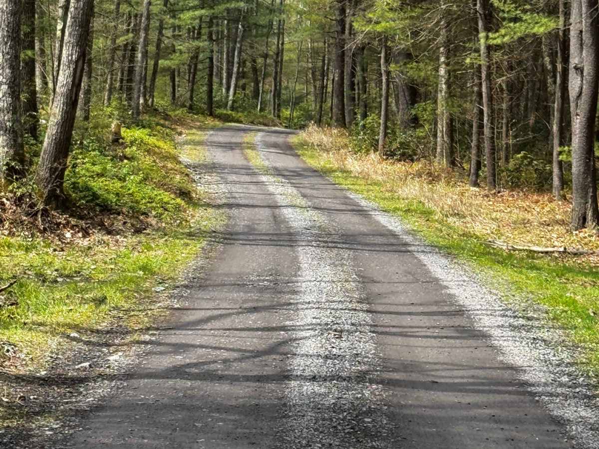 Old Mountain Road photo 4