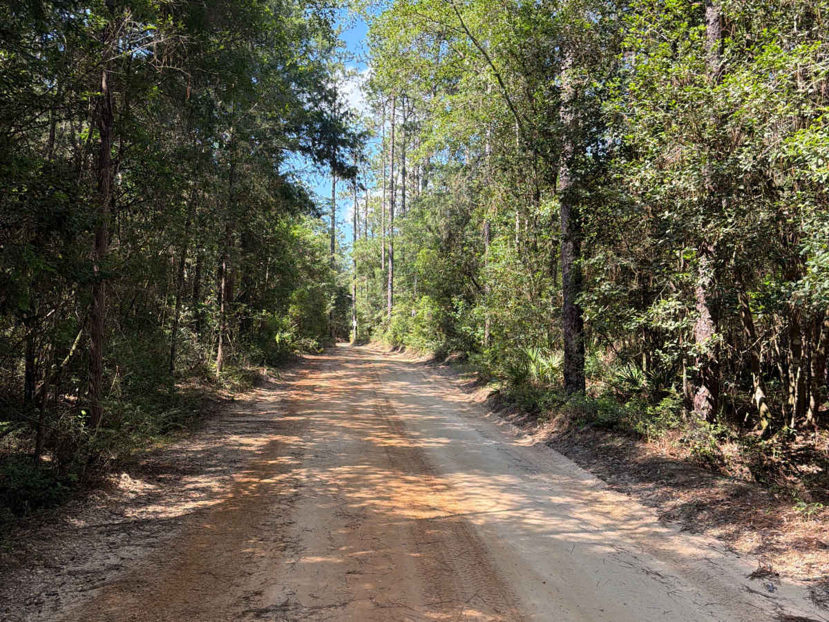 Shammah Road - FS J37 photo 3